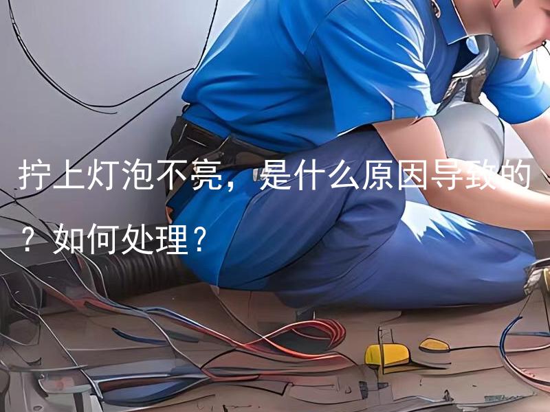 拧上灯泡不亮，是什么原因导致的？如何处理？ 灯泡融掉了如何更换？还有没有类似的灯泡？